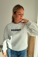 Pull iconic gris/bleu