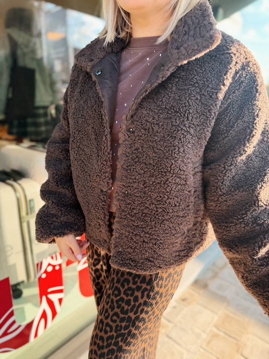 Teddy Tora Choco