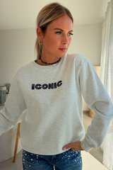 Pull iconic gris/bleu